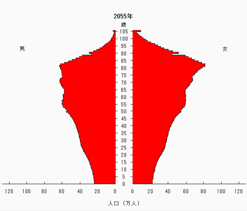 2055人口構成予測